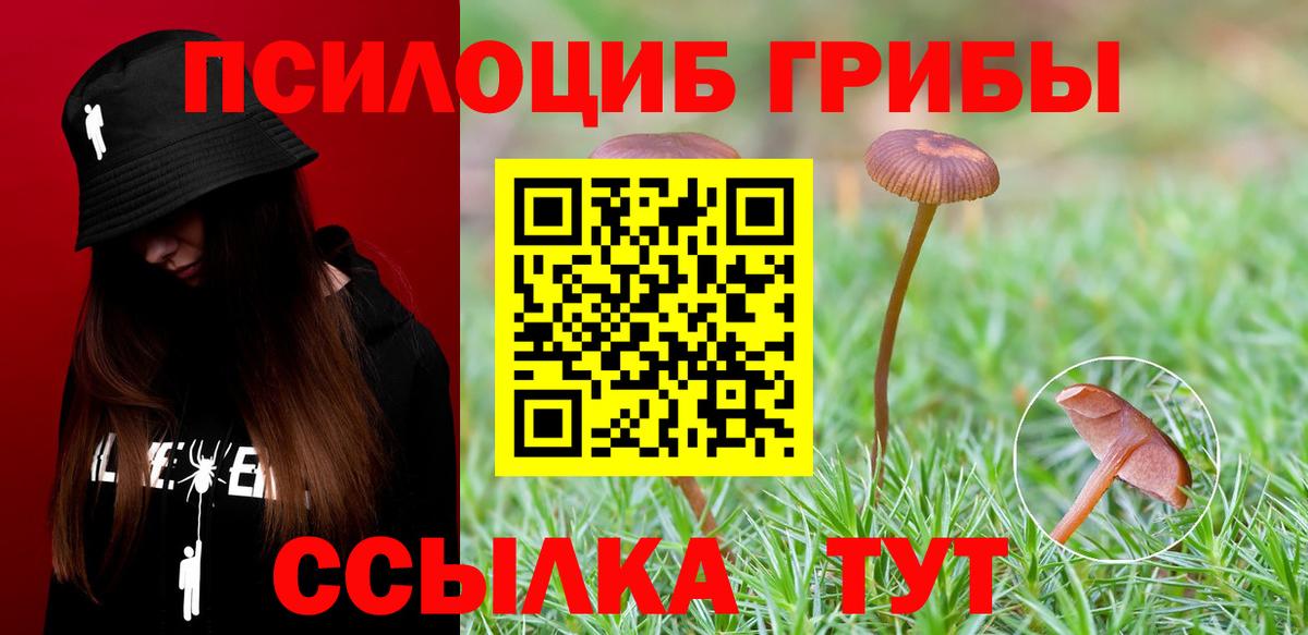Тутаев  Галлюциногенные грибы MAGIC MUSHROOMS  Вход с VPN 