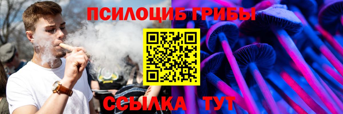 Псилоцибиновые грибы Psilocybine cubensis Тутаев
